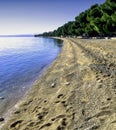 Adriatic Sea, beach and forest - Podgora, Makarska Riviera, Croatia Royalty Free Stock Photo