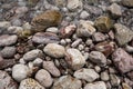Adriatic sea coast full of large stones Royalty Free Stock Photo