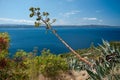 Adriatic Sea in Dalmatia Royalty Free Stock Photo