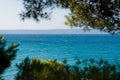 Adriatic sea framed by tree