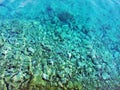 Adriatic seabed through clear emerald water color, Sv. Filip i Jakov - Croatia