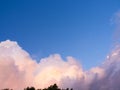 Adstract colour of fluffy cumulus pinky clouds in clear blue sky in bright suny day, in summer daytime sky. nature landscape