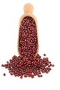 Aduki Bean Pulses Royalty Free Stock Photo