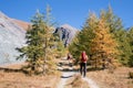 Aduld men hiking in mountains. Royalty Free Stock Photo