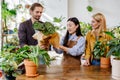 Adult Asian woman worker gardener wearing apron packing in paper and selling house plant pots for happy European couple Royalty Free Stock Photo