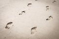 Adult barefoot footsteps on a sandy beach Royalty Free Stock Photo