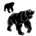 Adult black bear silhouette grizzly