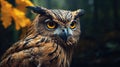 Adult Blakiston's Fish Owl (Bubo blakistoni) perched during daytime