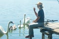 Adult blonde woman feeding swans Royalty Free Stock Photo