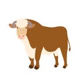 Adult bull vector illustration Flat Royalty Free Stock Photo