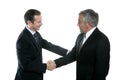 Adult businessman handshake expertise portrait Royalty Free Stock Photo