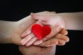 Adult and child hands holding red heart, health care, donate and family insurance concept,world heart day, world health day, CSR c