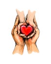 Adult and child hands holding red heart, health care, donate, world heart day Royalty Free Stock Photo