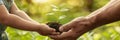 Adult and child hands holding a young plant, concept of growth and environmental education Royalty Free Stock Photo