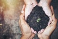 Adult and child are holding green growing seedling Royalty Free Stock Photo