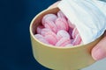 Adult child pink candy treats in powdered sugar from box Royalty Free Stock Photo