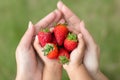 Mother and daughter eating strawberry fruit at the park Royalty Free Stock Photo