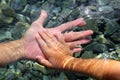 Adult and children hands holding underwater Royalty Free Stock Photo