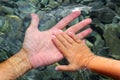 Adult and children hands holding underwater Royalty Free Stock Photo