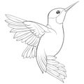 Adult coloring book,page a cute bird for relaxing.Zen art style illustration.