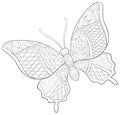 Adult coloring book,page a cute butterfly  with ornaments image for relaxing.Zen art style illustration Royalty Free Stock Photo