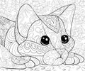 Adult coloring book,page a cute cat on the background for relaxing.Zen art style illustration.
