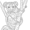 Adult coloring book,page a cute coala bear on the tree image for relaxing.