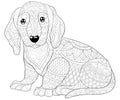 Adult coloring book,page a cute dog with ornaments image for relaxing.Zen art style illustration Royalty Free Stock Photo