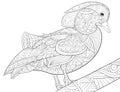 Adult coloring book,page a cute duck on the brunch image for relaxing.Zen art style illustration