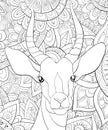 Adult coloring book,page a cute head of antilope image for relaxing.