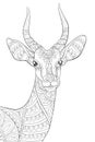 Adult coloring book,page a cute head of antilope image for relaxing.