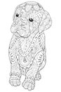 Adult coloring book,page a cute little dog for relaxing.Zen art style illustration. Royalty Free Stock Photo