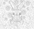 Adult coloring book,page a cute rabbit image for relaxing.