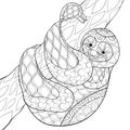 Adult coloring book,page a cute sloth on the brunch image for relaxing.