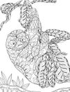 Adult coloring book,page a cute sloth on the brunch image for relaxing.