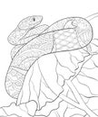 Adult coloring book,page a cute snake on the brunch with leaves for relaxing.Zen art style illustration