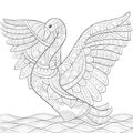 Adult coloring book,page a cute swan with ornaments image for relaxing.Zen art style illustration Royalty Free Stock Photo