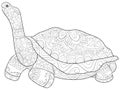 Adult coloring book,page a cute turtle image for relaxing.Zen art style illustration for print.