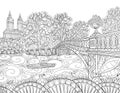 Adult coloring book,page a landscape image for relaxing.