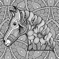 Adult coloring monochrome horse drawing