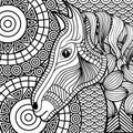 Adult coloring monochrome horse drawing