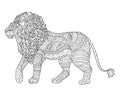 Adult coloring page for antistress with lion. Royalty Free Stock Photo