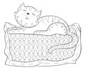 Adult coloring page,book a cat image for relaxing.