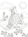 Adult coloring page with lovely lady bird