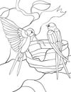 Adult coloring page swallows