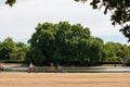 Adult couple cycling next to a pond in Hyde Park, London, UK