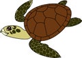 Adult cute cartoon swimming sea turtle on white background Royalty Free Stock Photo