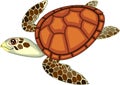 Adult cute cartoon swimming sea turtle on white background Royalty Free Stock Photo