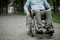 Adult disabled man in wheelchair resting in park Royalty Free Stock Photo