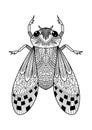 Adult doodle antistress coloring book page beetle. Zentangle bug. Insect black and white patterned illustration